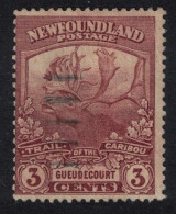 Newfoundland Contingent Caribou 3d 1919 Canc SG#132 - 1908-1947