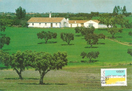 31065 - Carte Maximum - Portugal - Arquitetura Popular - Monte Casa Alentejana Alentejo - Maison Typique Typical House - Cartes-maximum (CM)