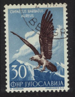 Yugoslavia Lammergeier Bird 1954 Canc SG#771 MI#744 - Other & Unclassified