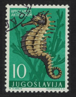 Yugoslavia Short-snouted Sea Horse Fish 1956 Canc SG#825 MI#795 Sc#452 - Other & Unclassified