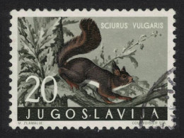 Yugoslavia Eurasian Red Squirrel Forest Mammal 1960 CTO SG#957 MI#918 Sc#573 - Other & Unclassified
