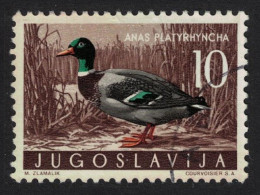 Yugoslavia Mallard 'Anas Platyrhynchos' Bird 1958 CTO SG#879 MI#842 Sc#497 - Altri & Non Classificati