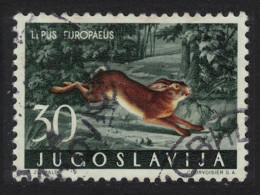 Yugoslavia Brown Hare Forest Mammal 1960 CTO SG#959 MI#920 Sc#575 - Other & Unclassified