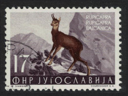 Yugoslavia Chamois Wild Animal 1954 Canc SG#769 MI#742 - Other & Unclassified