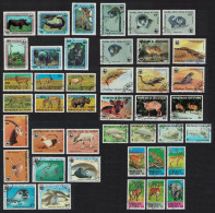 WWF Animals WWF Big Collection T21 1977 CTO - Collections (without Album)