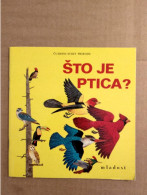 Srbohrvaščina  Knjiga Otroška ČUDESNI SVIJET PRIRODE - ŠTO JE PLOD? ŠTO JE PTICA? - Lingue Slave