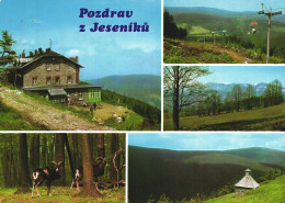 JESENIK, MULTIPLE VIEWS, ARCHITECTURE, MOUFLON, ANIMAL, SKI LIFT, MOUNTAIN, PILGRIMAGE PLACE, CZECH REPUBLIC, POSTCARD - Czech Republic