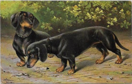 CPA Teckel Dackel Dachshund Non Circulé - Cani