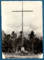 * CPSM - 67 - NATZWILLER - Camp Du Struthof - Monument érigé à La Libération - Autres & Non Classés