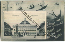 Ludwigsburg - Schloss - Schwalben - Verlag H. & V. St. - Ludwigsburg