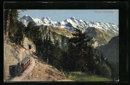 AK Schynige Platte, Bergbahn Und Gipfelpanorama  - Other & Unclassified