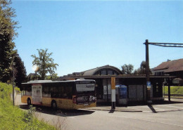 Stein A. Rhein  Postauto   Q Limitierte Auflage! - Stein Am Rhein