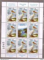 MONTENEGRO FAUNA VOGELS OISEAUX BIRDS SHEET 2002 MNH (**) #Fauna916 - Andere & Zonder Classificatie