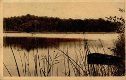 CPA LES LANDES - ETANG DE MOLIETS - Autres & Non Classés