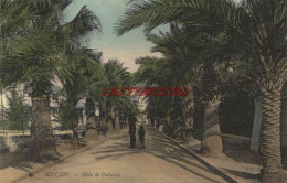 CPA MENTON - ALLEE DES PALMIERS - Menton