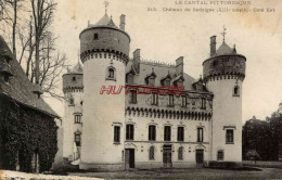 CPA  - (CANTAL) - CHATEAU DE SEDAIGES - Autres & Non Classés