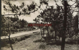 CPSM NOTRE DAME DES MONTS - FORET - (VENDEE) - Autres & Non Classés