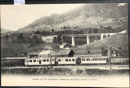 Gstaad (Berne) Train Du Montreux - Oberland - Bernois Devant Le Viaduc (16'896) - Gstaad
