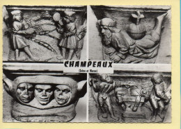 77. CHAMPEAUX – Collégiale Saint-Martin / Multivues / CPSM (voir Scan Recto/verso) - Rebais