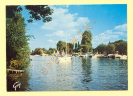 77. LAGNY - LES BORDS DE MARNE (bateaux) - Lagny Sur Marne