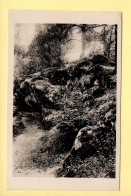 77. Forêt De FONTAINEBLEAU – La Roche Eponge (voir Scan Recto/verso) - Fontainebleau