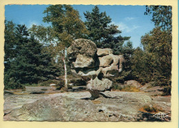 77. Forêt De FONTAINEBLEAU – Le Sphinx Des Druides / CPSM (voir Scan Recto/verso) - Fontainebleau
