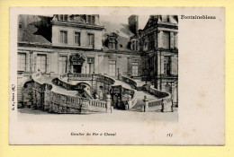 77. FONTAINEBLEAU – Escalier Du Fer à Cheval (voir Scan Recto/verso) - Fontainebleau