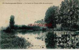 CPA COULANGES SUR YONNE - LES BORDS DE L'YONNE - Coulanges Sur Yonne