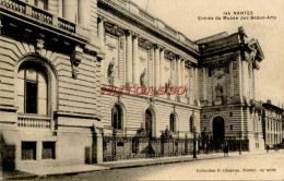 CPA NANTES - ENTREE DU MUSEE DES BEAUX ARTS - Nantes