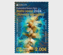 Europa 2024 - Montenegro Crna Gora - Underwater Fauna & Flora - ** - 2024