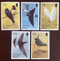 Ascension 1998 Migratory Birds MNH - Other & Unclassified