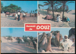 °°° 31181 - TUNISIA - SOUVENIR DE DOUZ - 1988 °°° - Tunisie