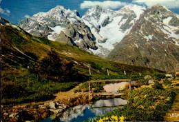 EN OISANS    ( ISERE )   LE PIC GASPARD ET  LA MEIJE DEPUIS LE JARDIN ALPIN DU COL DU LAUTARET - Other & Unclassified