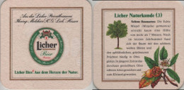 5005183 Bierdeckel Quadratisch - Licher - Beer Mats