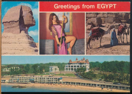 °°° 31183 - GREETINGS FROM EGYPT °°° - Sonstige & Ohne Zuordnung