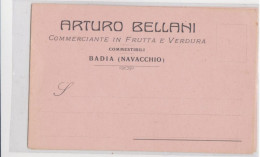 Cartolina Pubblicitaria   In  Frutta E Verdura   BADIA   Navacchio - Pisa