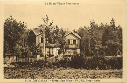- Haute Vienne -ref-A574- Bussière Galant - Hôtel Des Pins - Faure Propriétaire - Hôtels - - Other & Unclassified