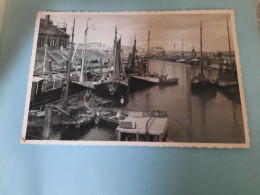 Oude Foto Haven 1925 - Real Picture Harbour 1925 - Vieille Photo Port - Boats