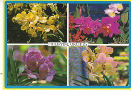 Philippine Orchids Gl2000 #C0340 - Altri & Non Classificati