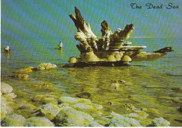 Israel The Dead Sea Trees Covered W.Salt Ngl #C0428 - Other & Unclassified