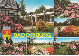 Bad Driburg/Westf. Mehrbildkarte Gl12005 #C0669 - Other & Unclassified