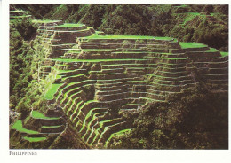 Philippines Rice Terraces Banaue Ifugao Pr. Ngl #C0447 - Altri & Non Classificati