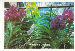 Philippine Orchids Gl1998 #C0341 - Other & Unclassified