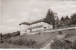 Nieheim Krs.Höxter Hotel Berghof Gl1961 #C2809 - Other & Unclassified