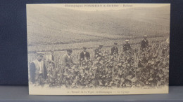 51108 . 2 CARTES . CHAMPAGNE POMMERY . L'EPLUCHAGE DES RAISINS A BOUZY . TRAVAIL DE LA VIGNE .  ROGNAGE  . REPRODUCTION - Reims