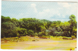 RI Bogor, A Beautiful Scene In The Botanical Garden Gl1967 #C5679 - Other & Unclassified