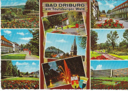 Bad Driburg Am Teutoburger Wald Mehrbildkarte Gl1968 #C6776 - Other & Unclassified