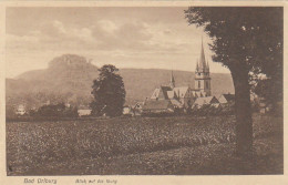 Bad Driburg Mit Blick Auf Die Iburg Ngl #C5557 - Autres & Non Classés