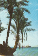 JOR Aqaba Beach Gl1976 #C6819 - Autres & Non Classés