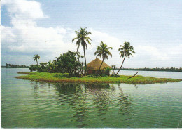 IND Kuttanad Alappuzha Life In The Water World Glum 1965? #C6836 - Other & Unclassified